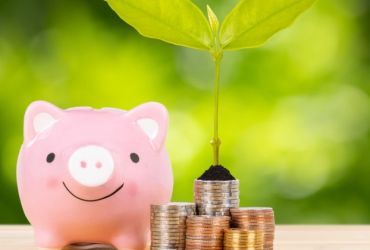 na zielonym tel uśmiechnięta różowa świnka skarbonka przed nią monety z których wyrasta zielona roślina