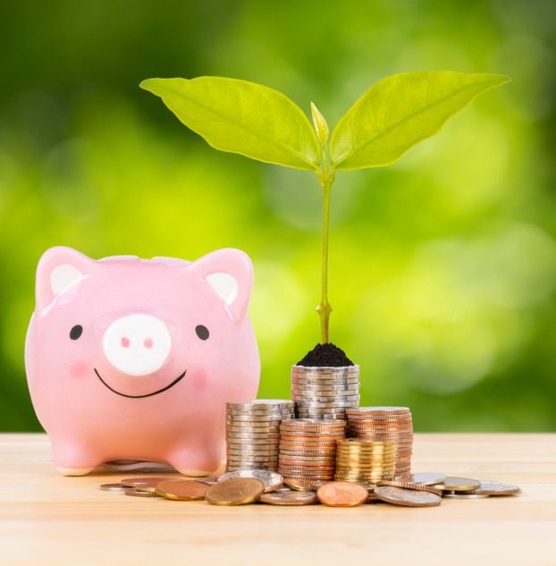 na zielonym tle uśmiechnięta różowa świnka skarbonka przed nią monety z których wyrasta zielona roślina